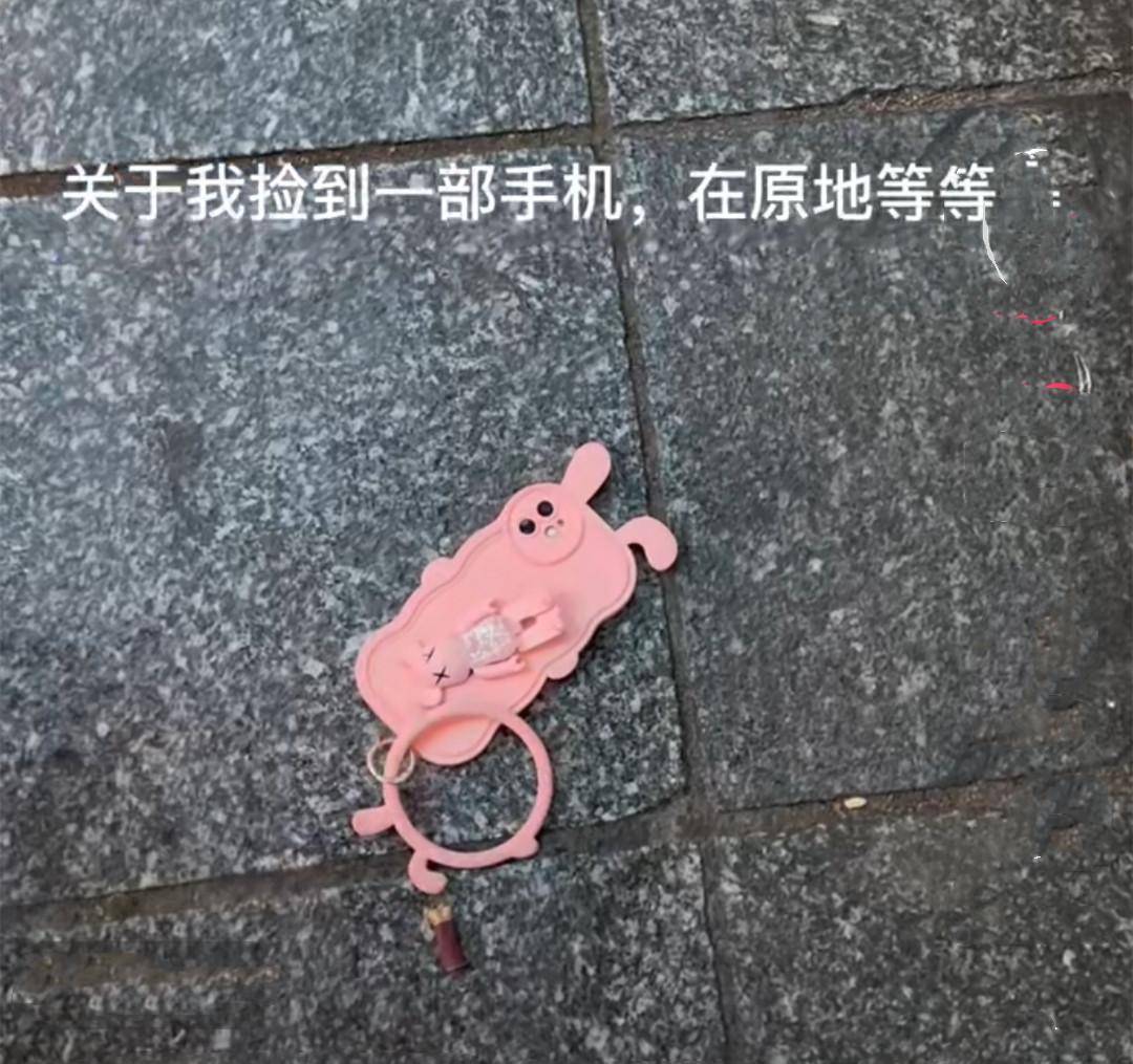 主角捡到一步华为手机
:吉林一女子到外地旅游，捡到手机归还失主后，她被投诉侵犯隐私