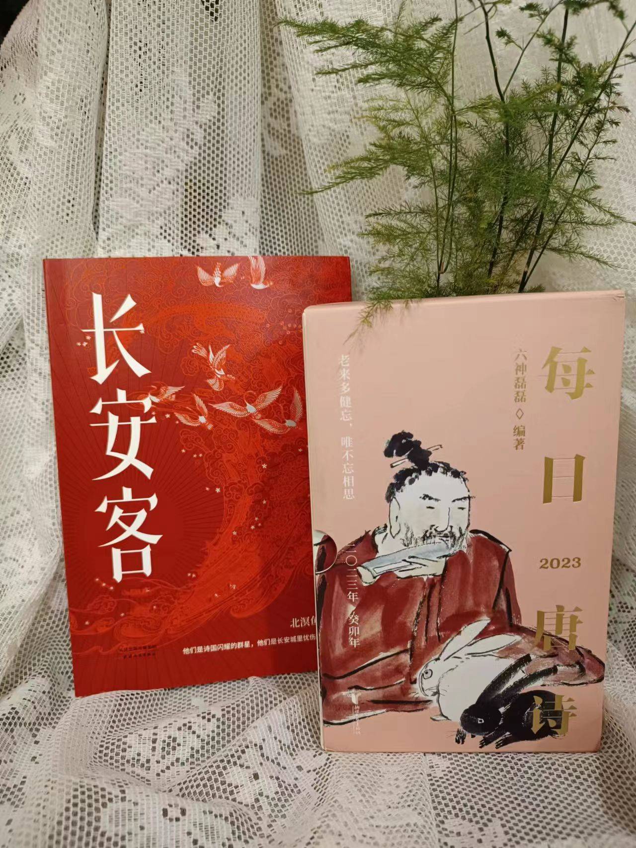 无尽的拉个朗日苹果版:不管现在如何耀眼，也曾是忧伤的长安客
