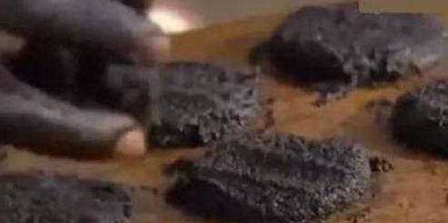 美食庄园无限苹果版
:非洲人用50万只蚊子制作汉堡，专家说蛋白质含量是牛肉的7倍
