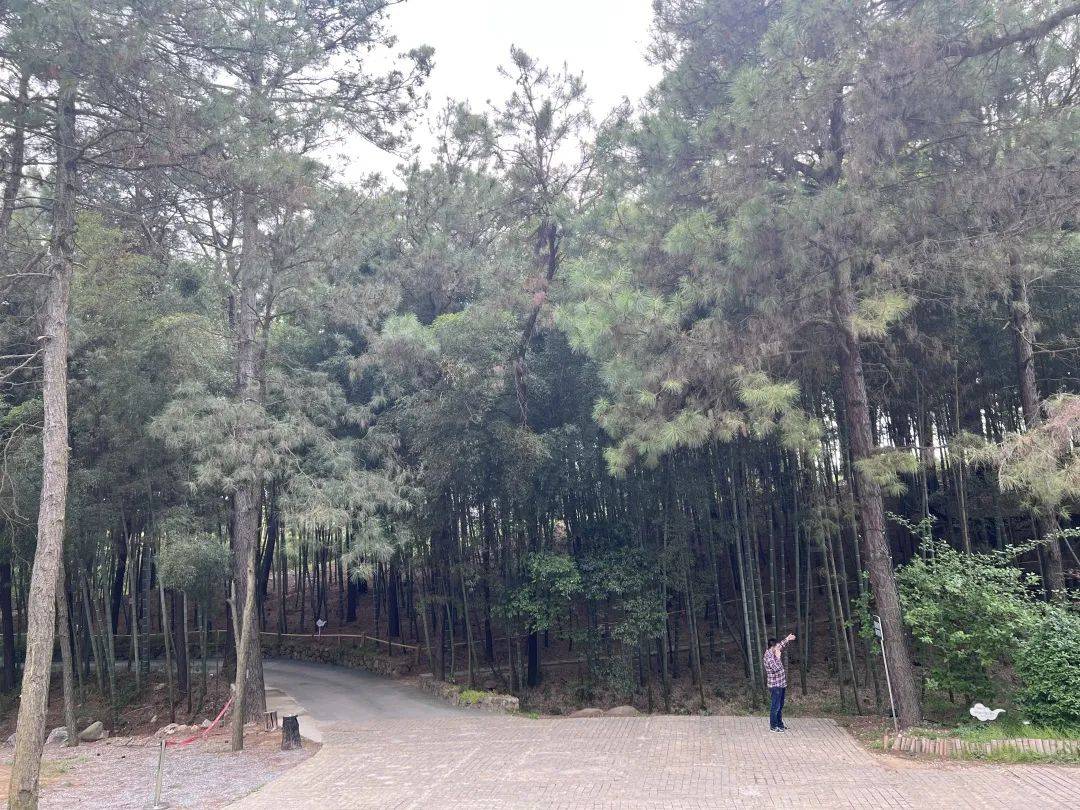 老虎直播苹果版 ios
:藏在溧水的布艺文化和诗意乡愁-第12张图片-太平洋在线下载