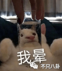 小苹果版广告视频:不是约会很久了吗？原来他俩现在才官宣恋爱啊？！