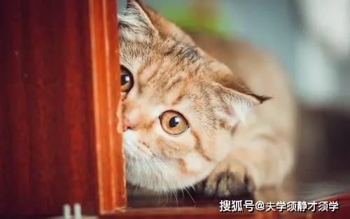 手机迅雷:开心一刻：我俩的事早就出了名了，现在我们也已经结婚了！
