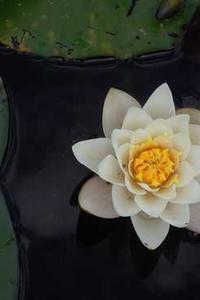 苹果平板有内存版吗-第3张图片-太平洋在线下载 苹果平板有内存版吗-第3张图片-太平洋在线下载