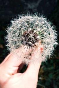 完美钢琴手机版下载安装-第1张图片-太平洋在线下载 完美钢琴手机版下载安装-第1张图片-太平洋在线下载