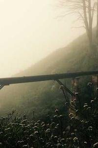 一起斗地主手机版-第2张图片-太平洋在线下载