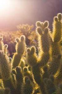 最新苹果版beta迅雷-第2张图片-太平洋在线下载 最新苹果版beta迅雷-第2张图片-太平洋在线下载