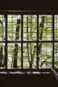 天火同人游戏苹果版