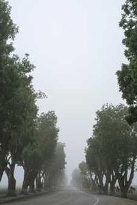 云雾飘动音效下载苹果版-第4张图片-太平洋在线下载 云雾飘动音效下载苹果版-第4张图片-太平洋在线下载