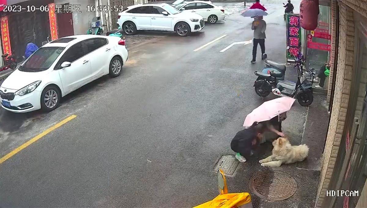 女子路边逗狗遭撕咬满脸是血，警方已介入，律师：若未拴绳狗主人将担责