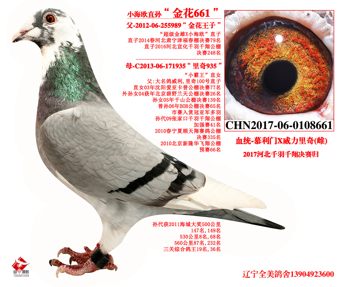 河北影视工棚手机资讯网影视工厂电视版app下载-第2张图片-太平洋在线下载