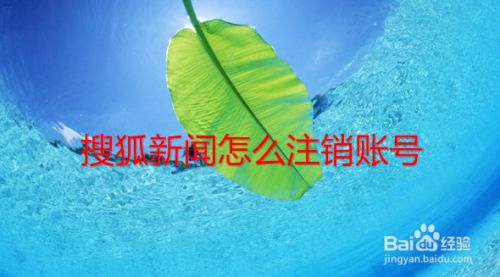 安卓搜狐新闻去广告版安卓迅雷去广告去升级版