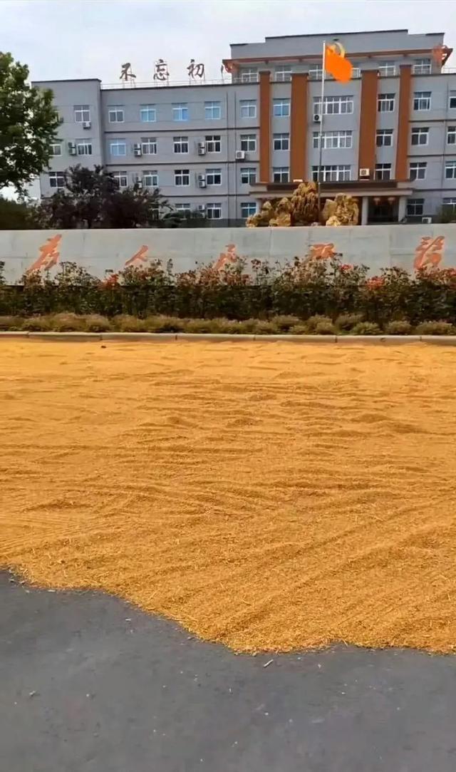 滑县苹果树新闻滑县电视台滑县新闻-第2张图片-太平洋在线下载