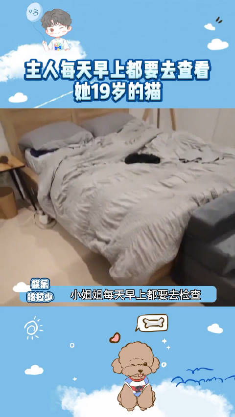 微博iphone5s客户端新浪微博显示iphone客户端
