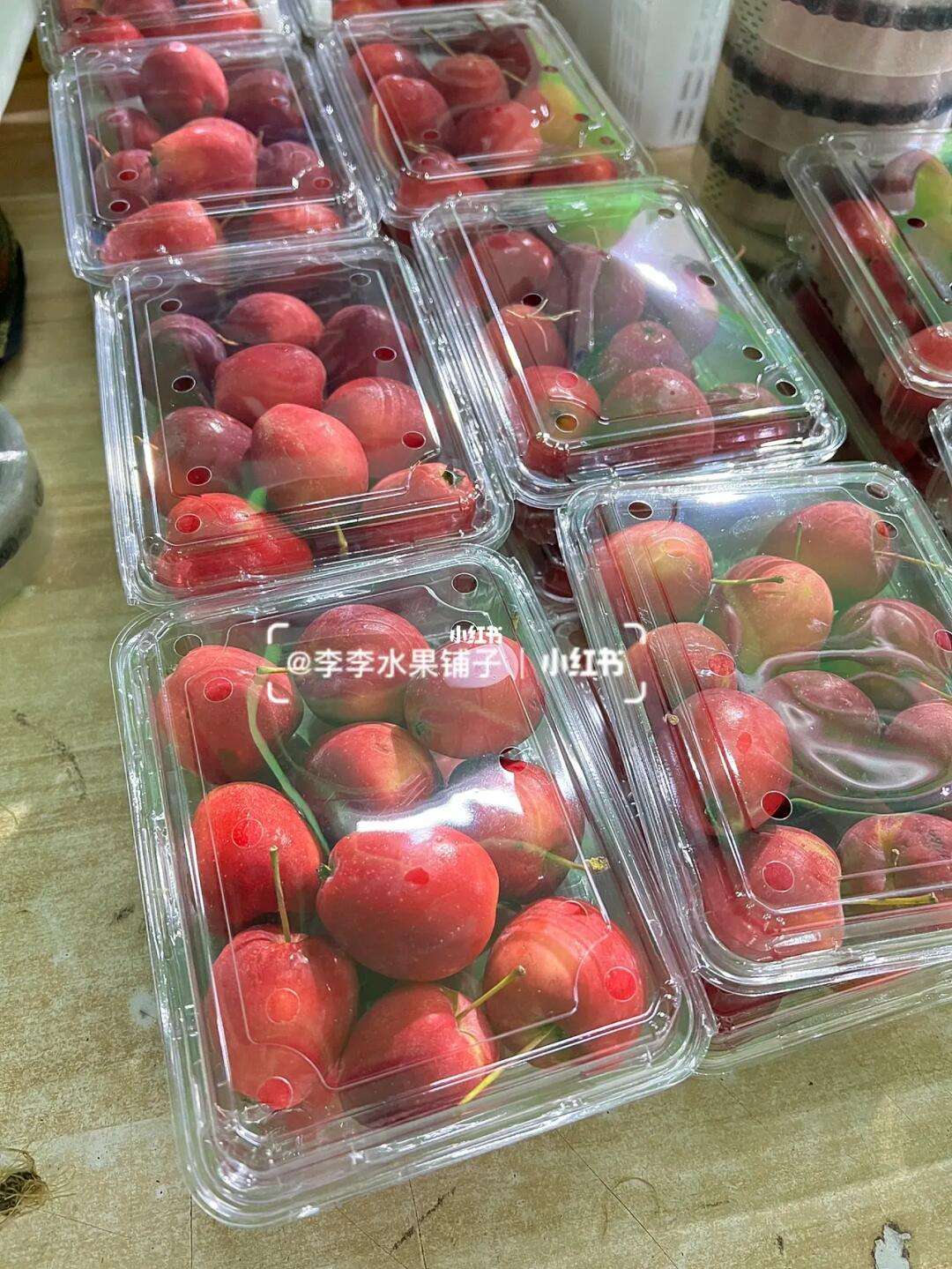 小苹果公交版重庆小苹果活动助手电脑版