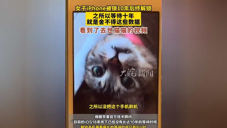 猫咪视频苹果系统版怎么才能找到猫咪官网