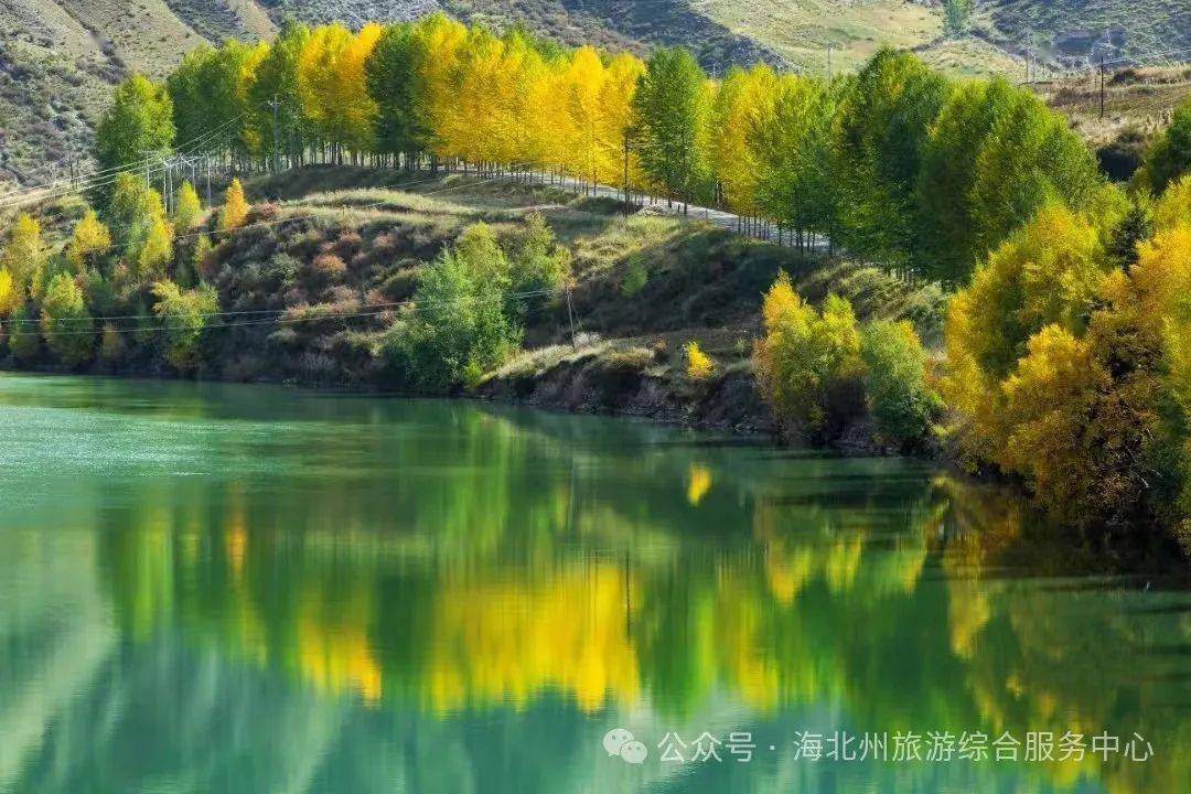 梦幻海北手机客户端梦幻西游手游电脑版官网下载
