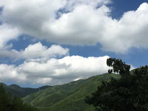 苹果版思归(思聊苹果手机下载安装)-第4张图片-QuickQ官网