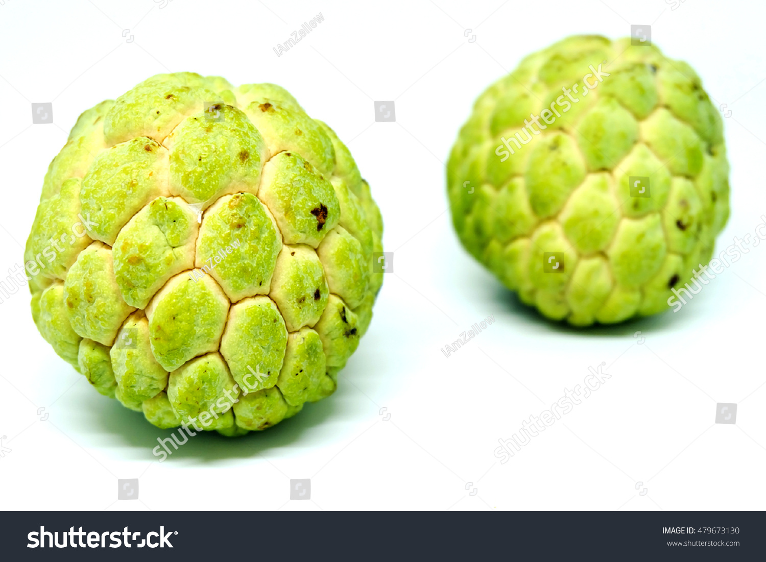 sugar苹果版(sugar官网下载)-第1张图片-QuickQ官网