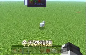 我的世界手机版蜘蛛网(搜索我的世界中蜘蛛网的图片)-第5张图片-QuickQ官网