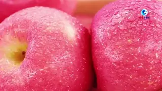 关于非特苹果版的信息-第3张图片-QuickQ官网 关于非特苹果版的信息-第3张图片-QuickQ官网