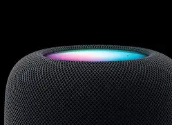 jackd中文版苹果版(免root控安卓ios)