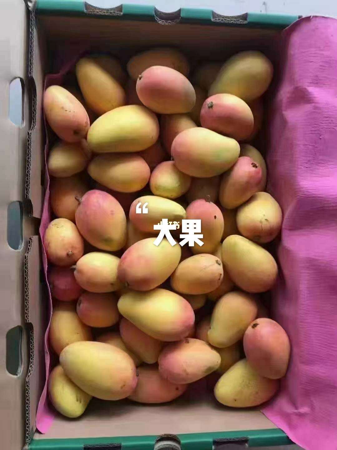 芒果台手机版(芒果tv手机官网)-第4张图片-QuickQ官网