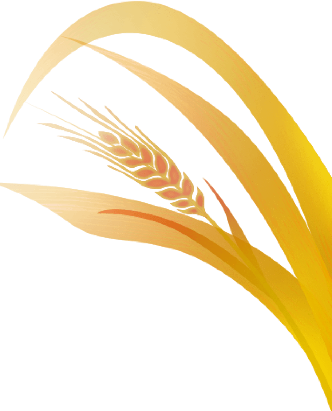 三农致富经手机版(三农致富经 创业项目)-第3张图片-QuickQ官网 三农致富经手机版(三农致富经 创业项目)-第3张图片-QuickQ官网