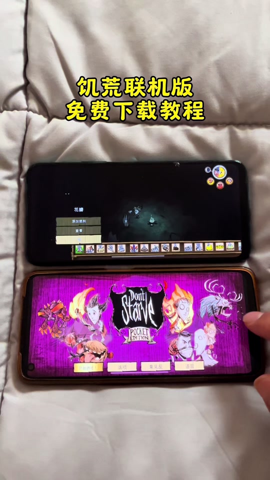 饥荒手机版生存怎么下载(饥荒手机版生存怎么下载模组)-第4张图片-QuickQ官网