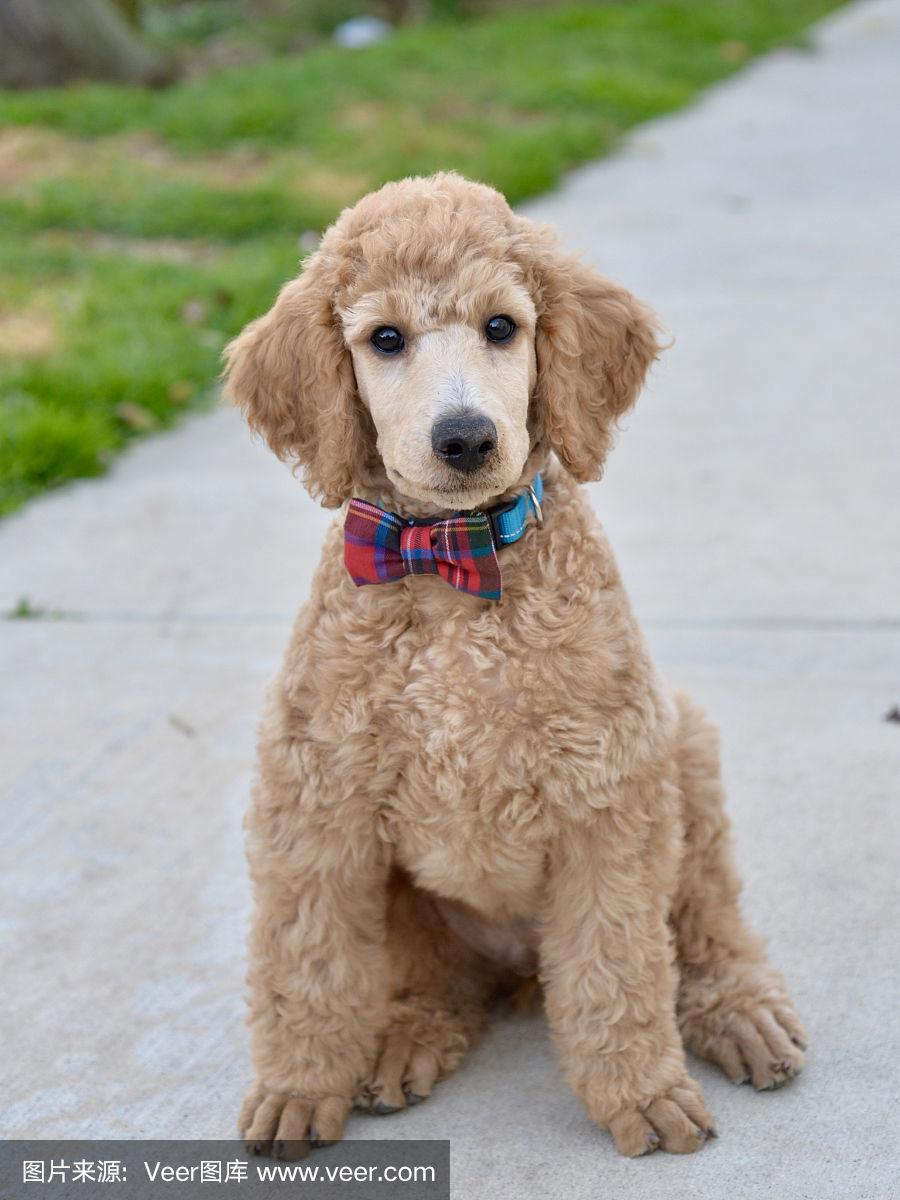 肯尼迪壁纸手机版(肯尼迪 not because it is easy)-第3张图片-QuickQ官网